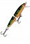 ������ RAPALA JOINTED J11-P