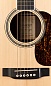 ������������ ������ �������� MARTIN D-16RGT