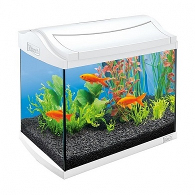 �������� Tetra AquaArt Discover Line ����� 20�