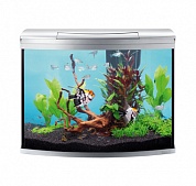 �������� Tetra AquaArt Evolution Line 130�