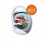 �������� Tetra Betta Ring 1,8� �����