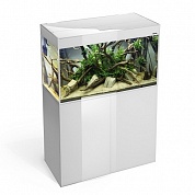 �������� Aquael GLOSSY 120 �����