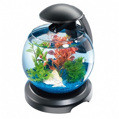 �������� Tetra Cascade Globe Black LED