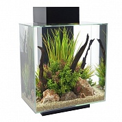 �������� Hagen Fluval Edge 46� LED ������