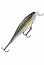 ������ Rapala SUPER SHAD RAP SSR14-SPK