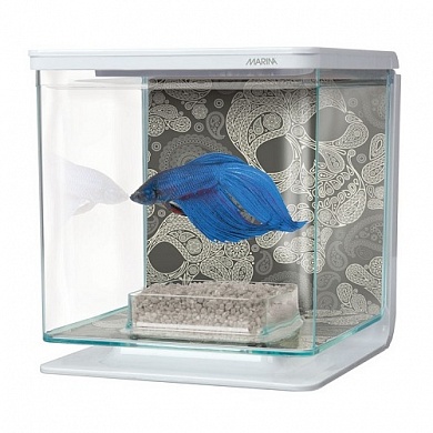 �������� Hagen Marina Betta Kit Skull 2�