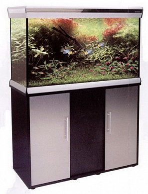 ����� Anubias D-550FX ��� ���. D-550F ������